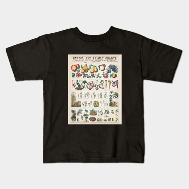 Botanical Fruit and Vegetables Plant Chart Kids T-Shirt by Craftee Designs